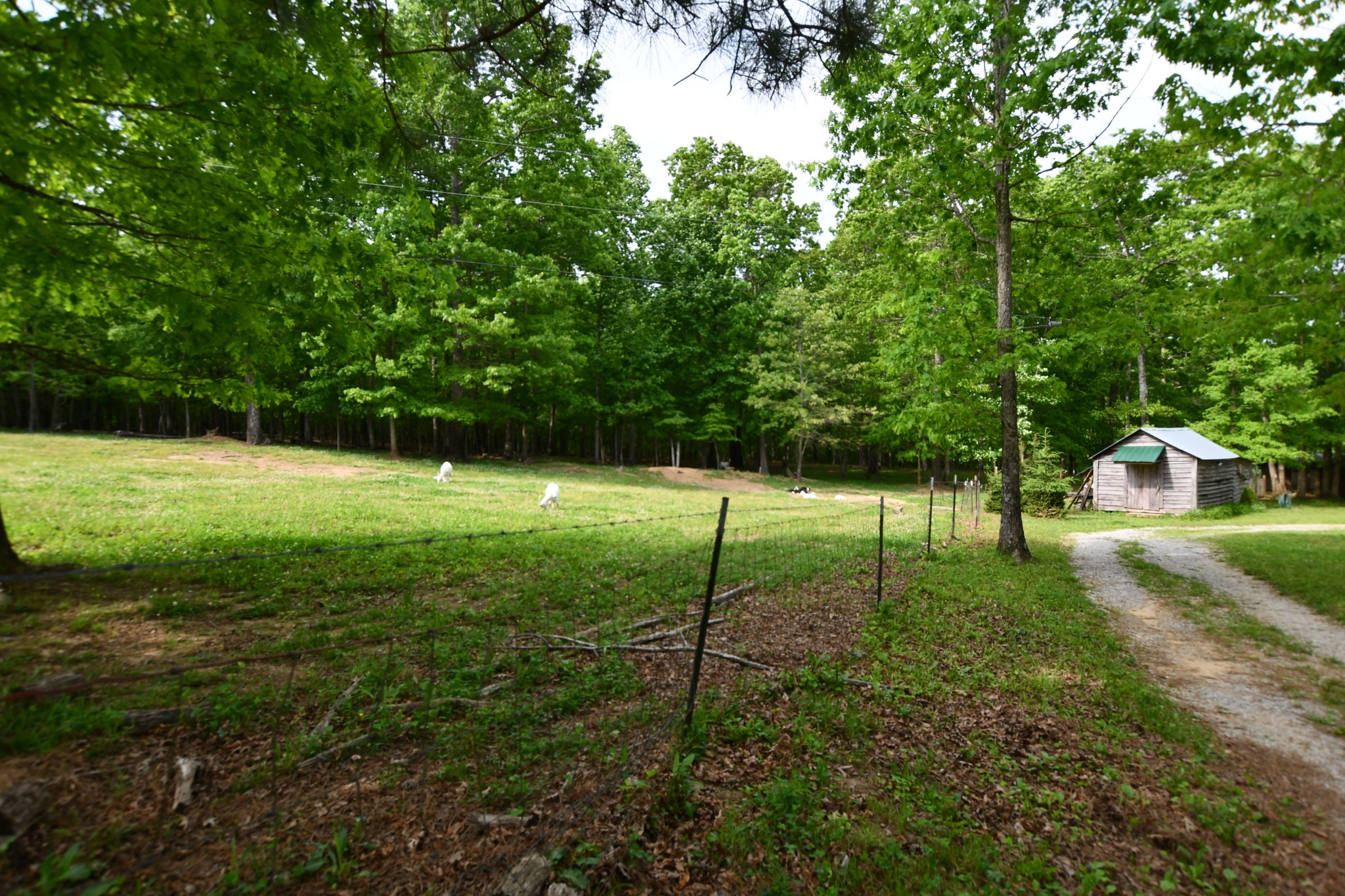 253 Soldier Road Altamont, TN 37301 - Photo 15 of 59 Gallery Image 15