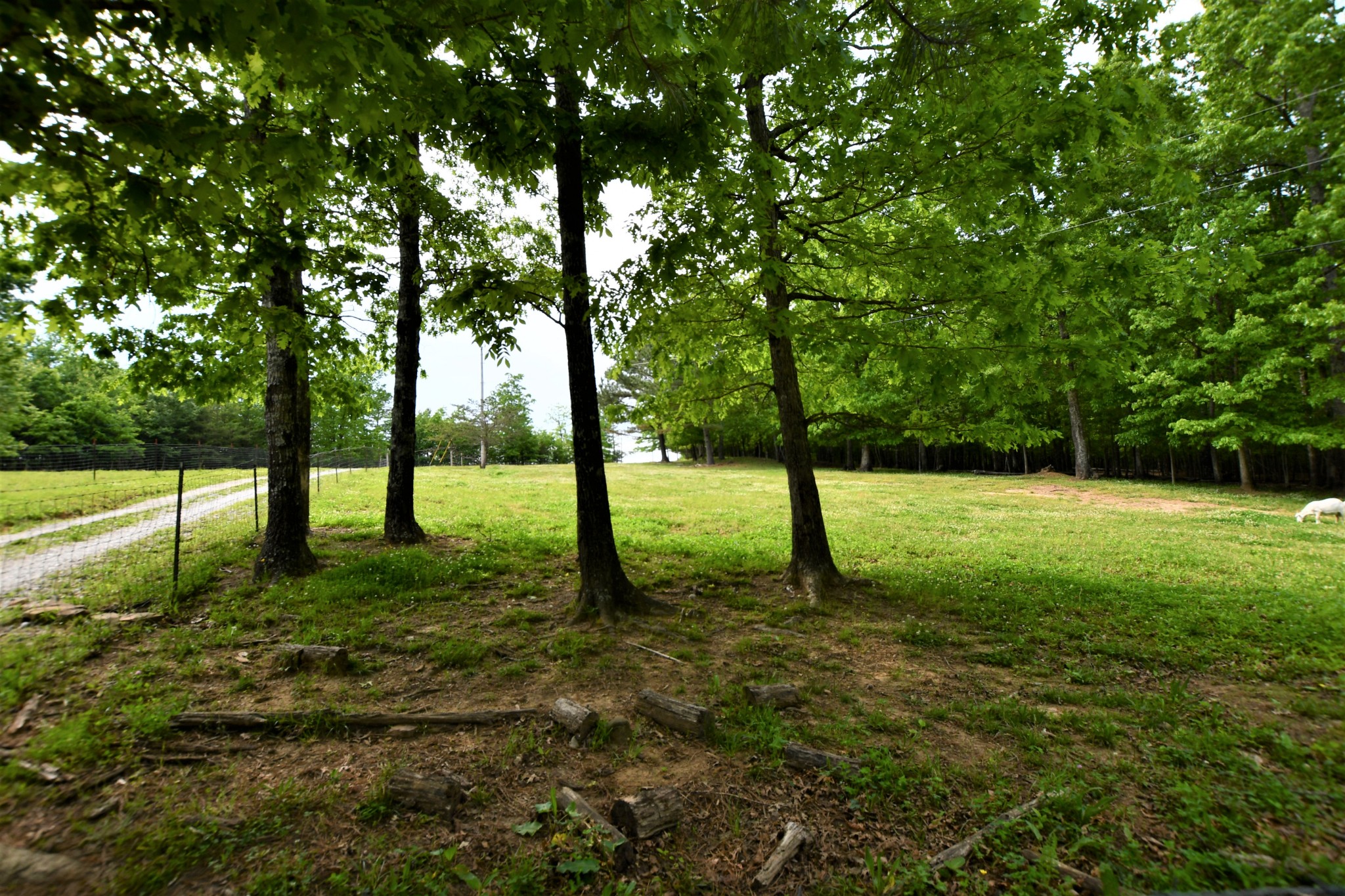 253 Soldier Road Altamont, TN 37301 - Photo 16 of 59 Gallery Image 16