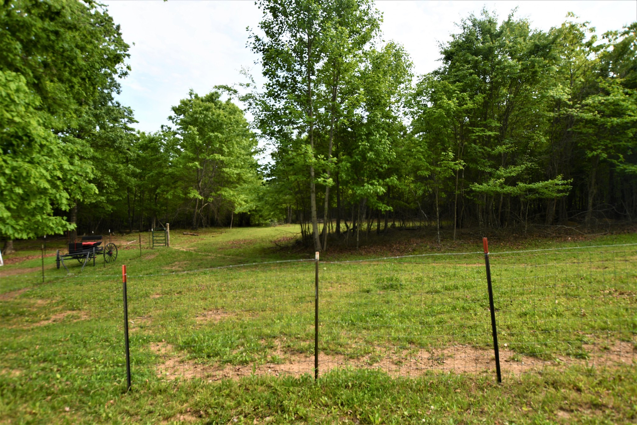 253 Soldier Road Altamont, TN 37301 - Photo 17 of 59 Gallery Image 17