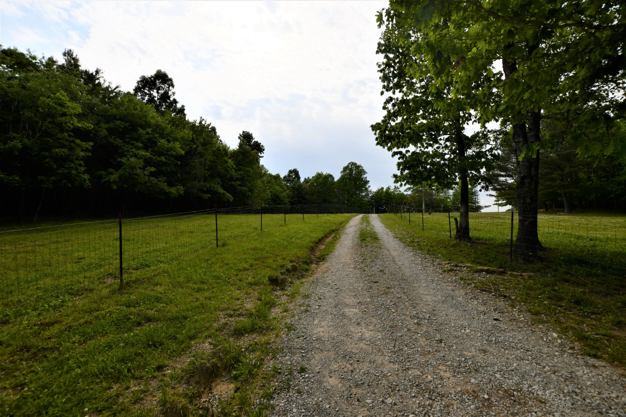 253 Soldier Road Altamont, TN 37301 - Photo 19 of 59 Gallery Image 19