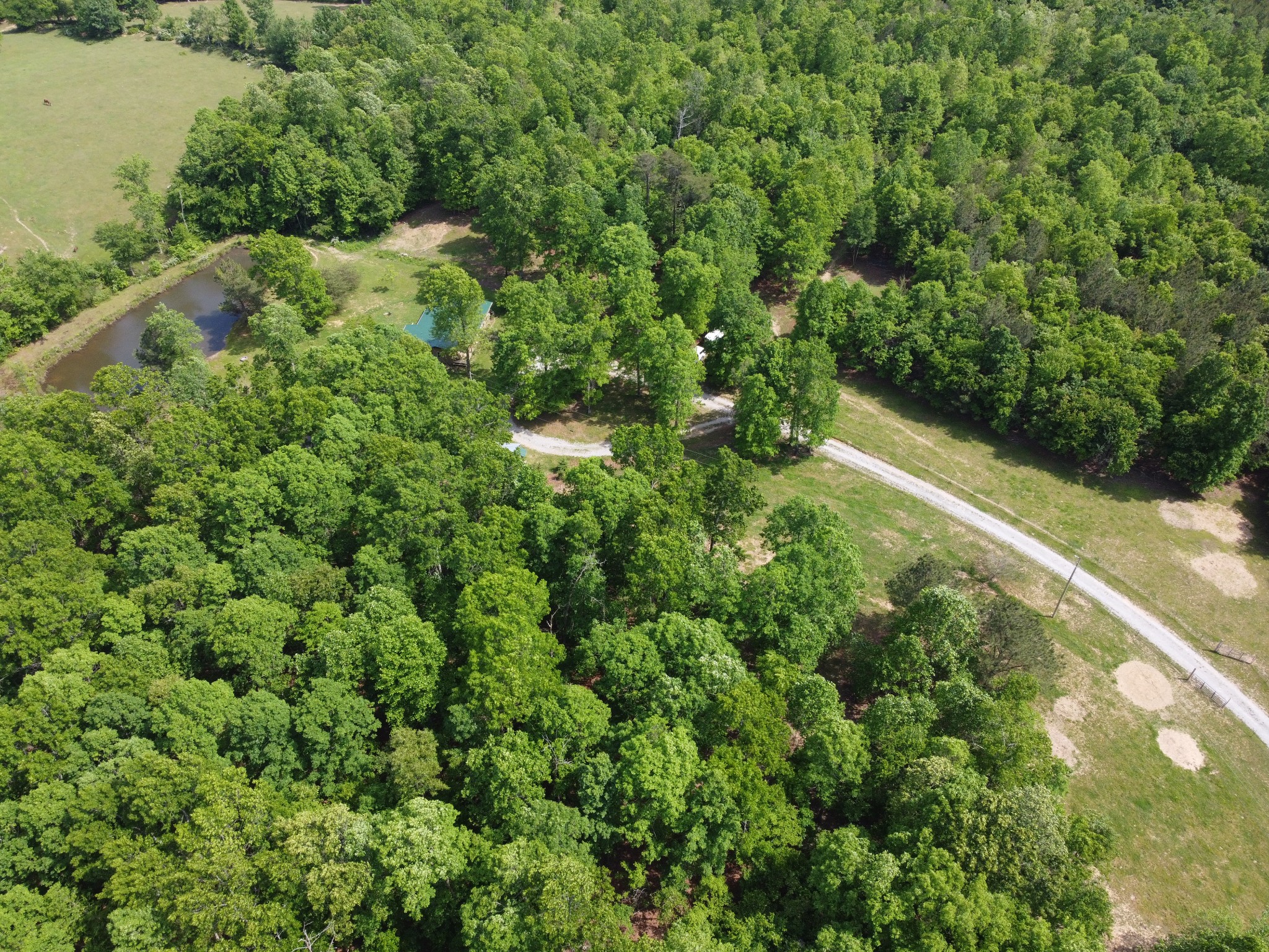 253 Soldier Road Altamont, TN 37301 - Photo 2 of 59 Gallery Image 2
