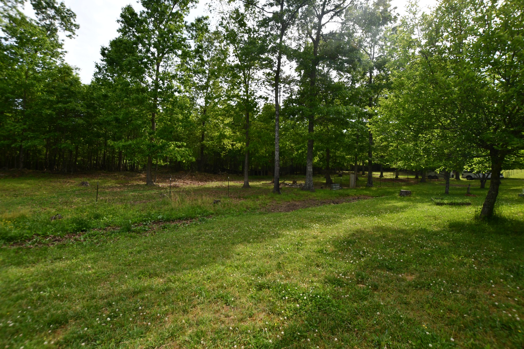 253 Soldier Road Altamont, TN 37301 - Photo 25 of 59 Gallery Image 25