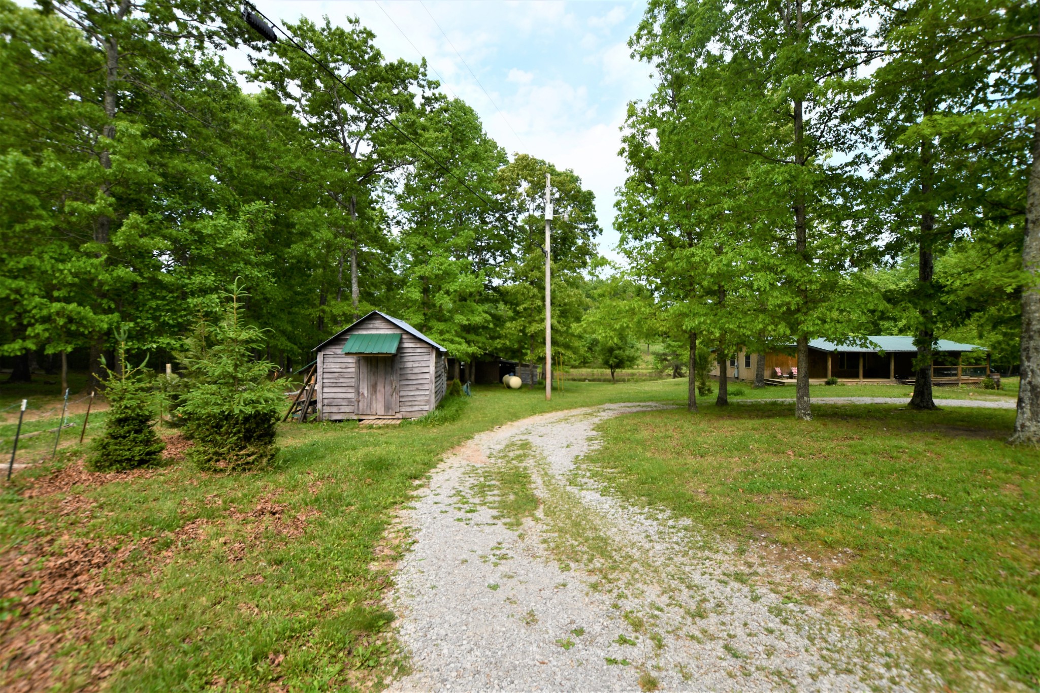253 Soldier Road Altamont, TN 37301 - Photo 8 of 59 Gallery Image 8