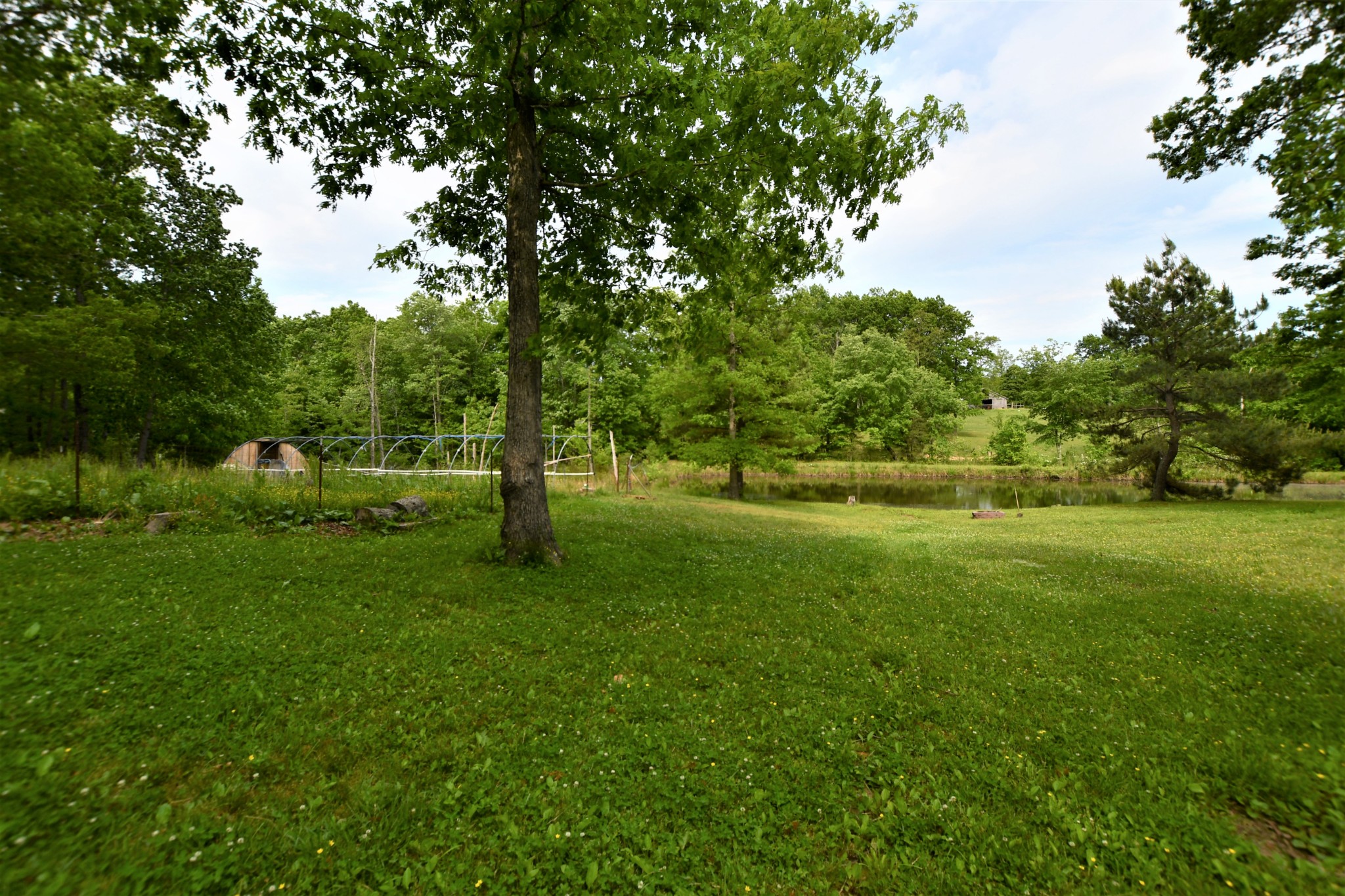 253 Soldier Road Altamont, TN 37301 - Photo 9 of 59 Gallery Image 9