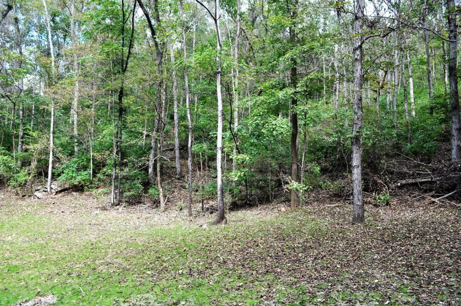4921 Gann Store Road Hixson, TN 37343 - Photo 1 of 13 Pic 3