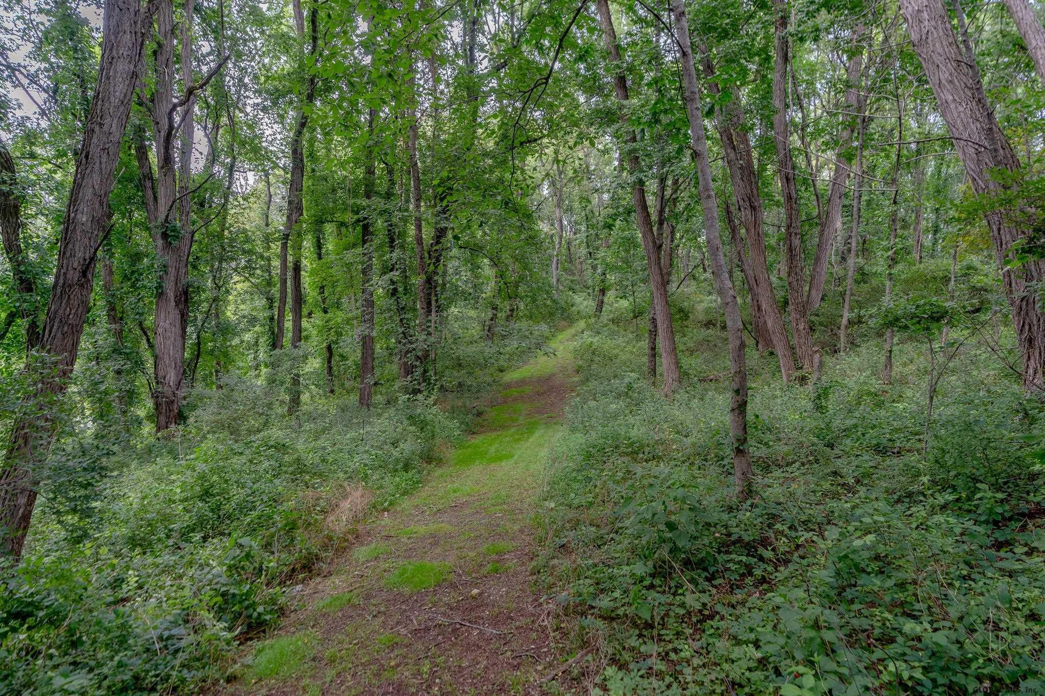 257 Mcclellan Road Schodack, NY 12123 - Photo 65 of 85 Photo 65