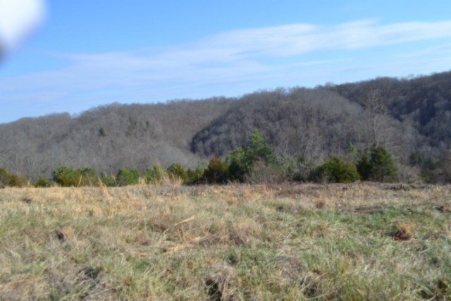 0 Lord Botetourt Court Baxter, TN 38544 - Photo 15 of 40 a view of a dry yard with mountains in the background