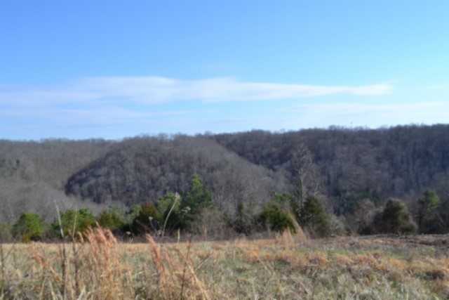 0 Lord Botetourt Court Baxter, TN 38544 - Photo 19 of 40 a view of a dry yard with green space