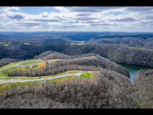 0 Lord Botetourt Court Baxter, TN 38544 - Photo 2 of 40 a view of a swimming pool with a yard