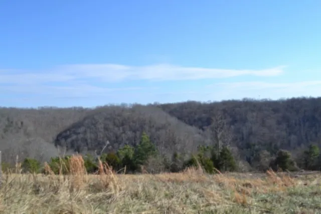 a view of a dry field with tall trees