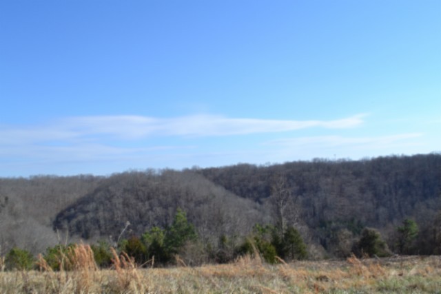 0 Lord Botetourt Court Baxter, TN 38544 - Photo 23 of 40 a view of a dry field with tall trees