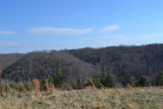 a view of a dry yard with mountains in the background