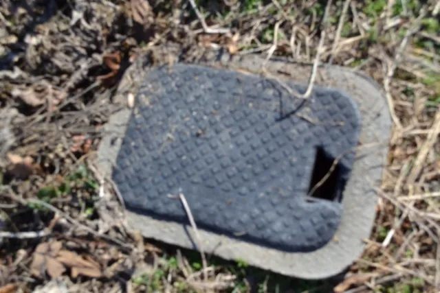 a view of a dry yard with trees in the background