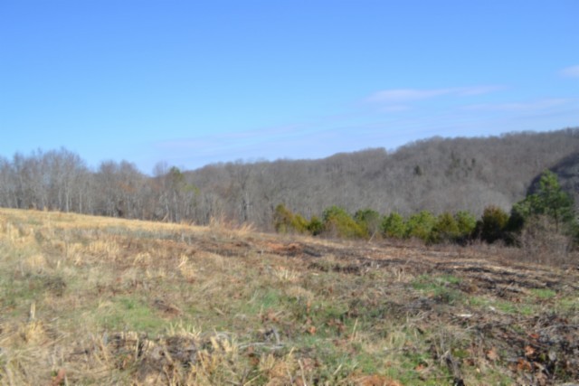 0 Lord Botetourt Court Baxter, TN 38544 - Photo 29 of 40 a view of a dry yard with mountains in the background