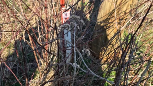 a picture of a bathroom with a lot of white walls