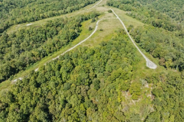 0 Lord Botetourt Court Baxter, TN 38544 - Photo 5 of 40 a view of a yard