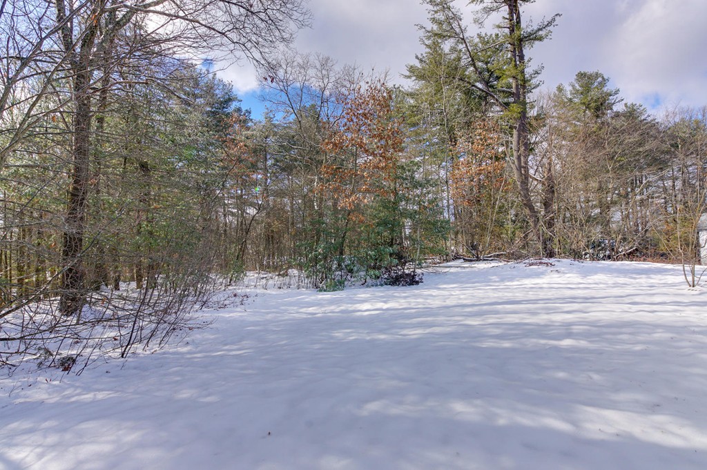 11 Cynthia Road Billerica, MA 01821 - Photo 2 of 16 Gallery Image 2