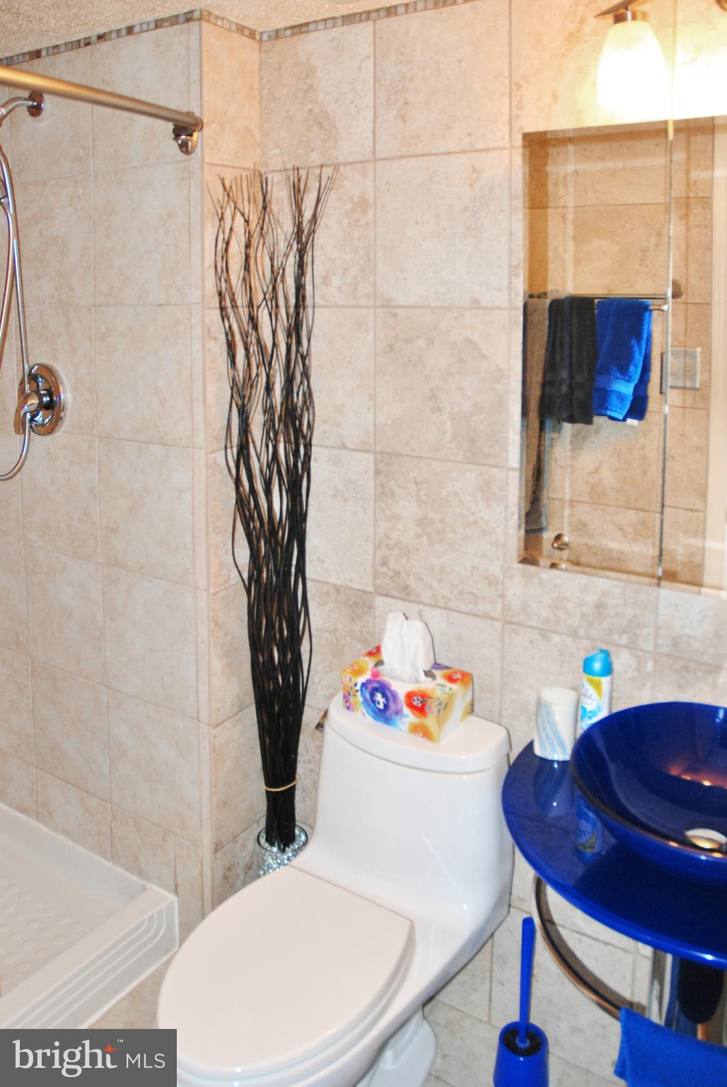 11357 Baroque Road Silver Spring, MD 20901 - Photo 13 of 24 Bath (Master)
