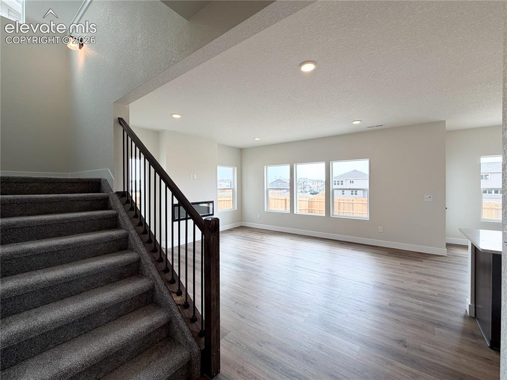 8222 Lemon Grass Road Falcon, CO 80831 - Photo 6 of 40