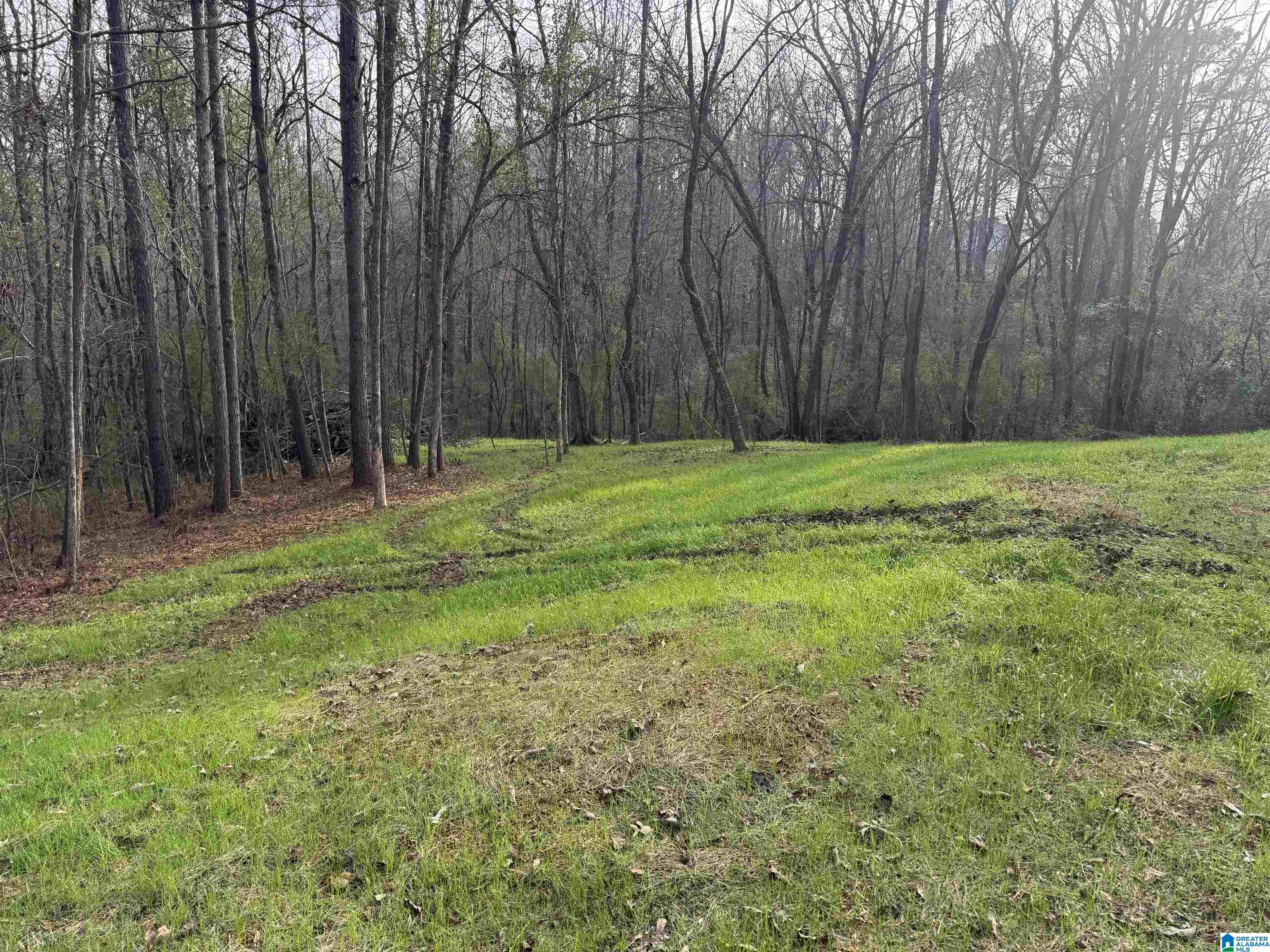 33412 Highway 79 Cleveland, AL 35049 - Photo 36 of 39