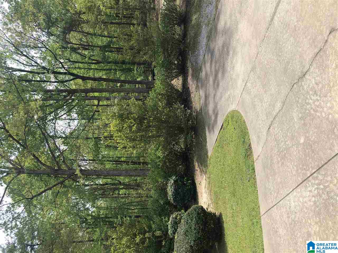 795 County Road 159 Jemison, AL 35085 - Photo 2 of 49