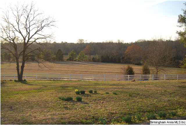 591 Old Brdwell Mill Road Jacksonville, AL 36265 - Photo 2 of 32