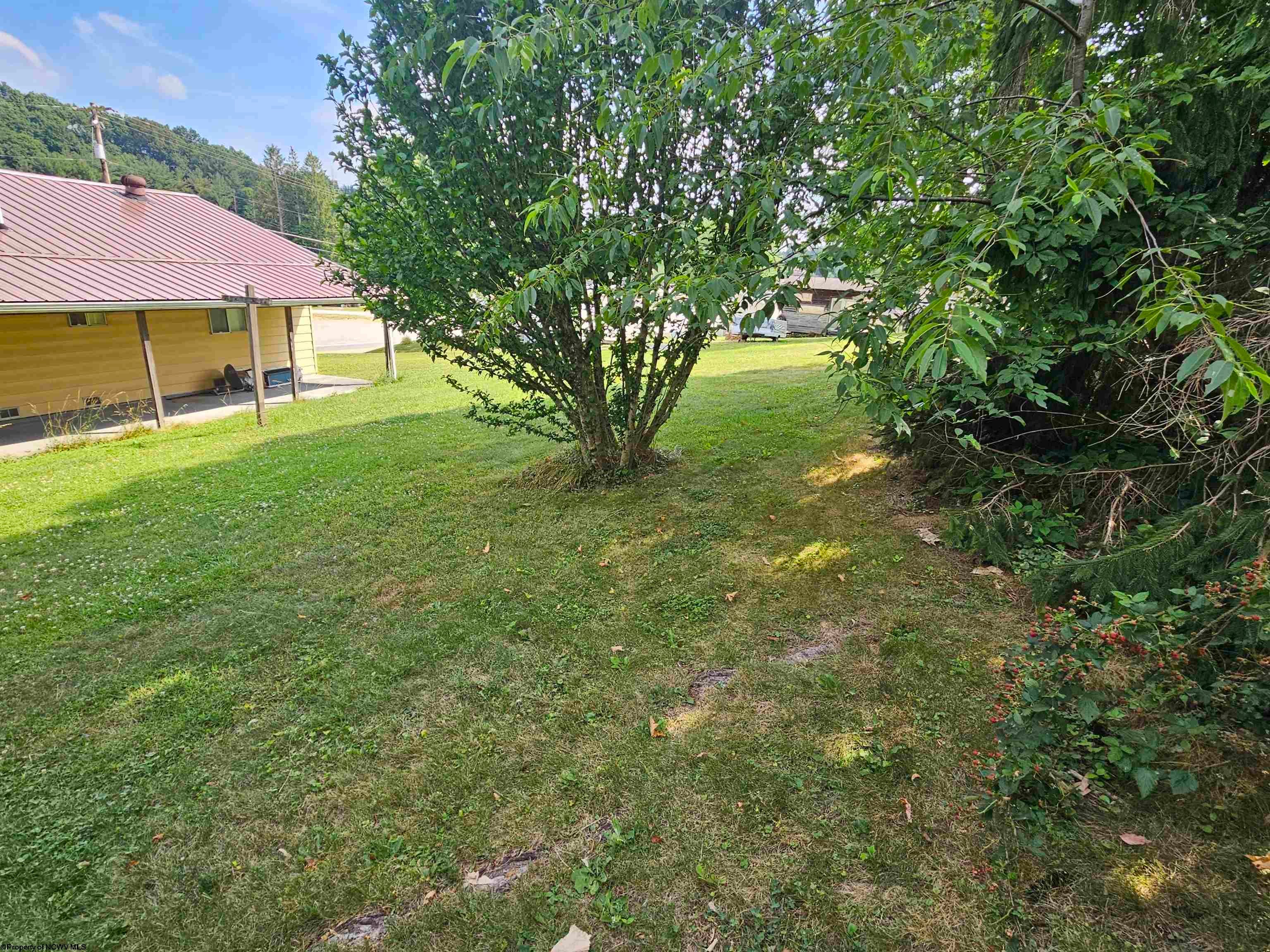 134 Vicksburg Road Buckhannon, WV 26201 - Photo 30 of 33 Gallery Image 30