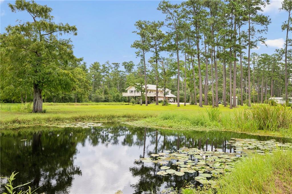 29372 Paquet Road Lacombe, LA 70445 - Photo 3 of 40