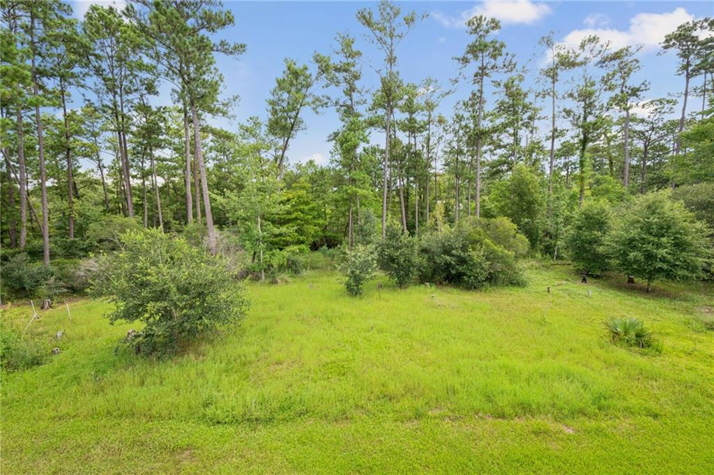 29372 Paquet Road Lacombe, LA 70445 - Photo 39 of 40