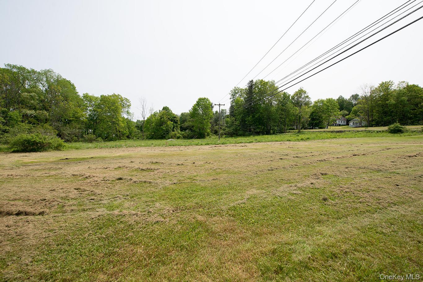 1132 Old Rte 17 Harris, NY 12742 - Photo 25 of 26 View of yard with a view of rural / pastoral area