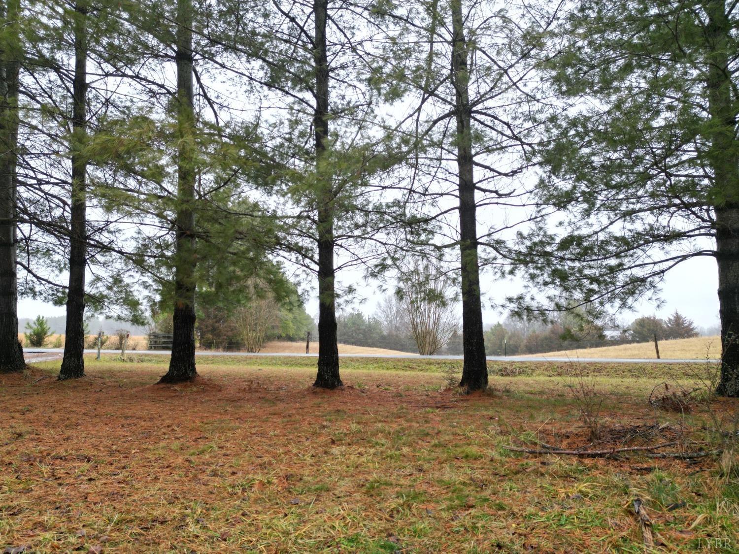 5109 River Ridge Road Appomattox, VA 24522 - Photo 37 of 40 Gallery Image 37