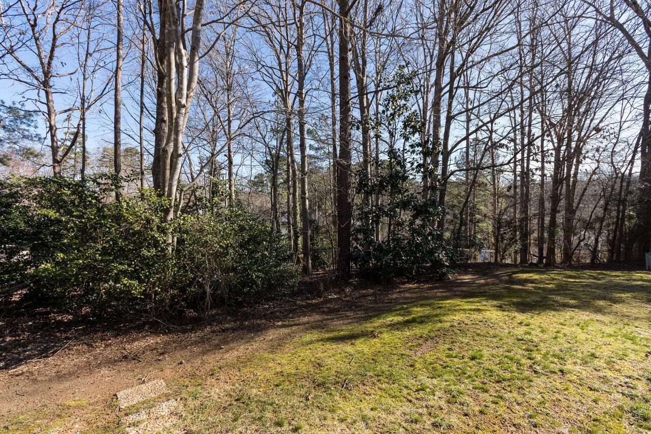 718 Red Forest Trail Raleigh, NC 27615 - Photo 29 of 30 Wooded view