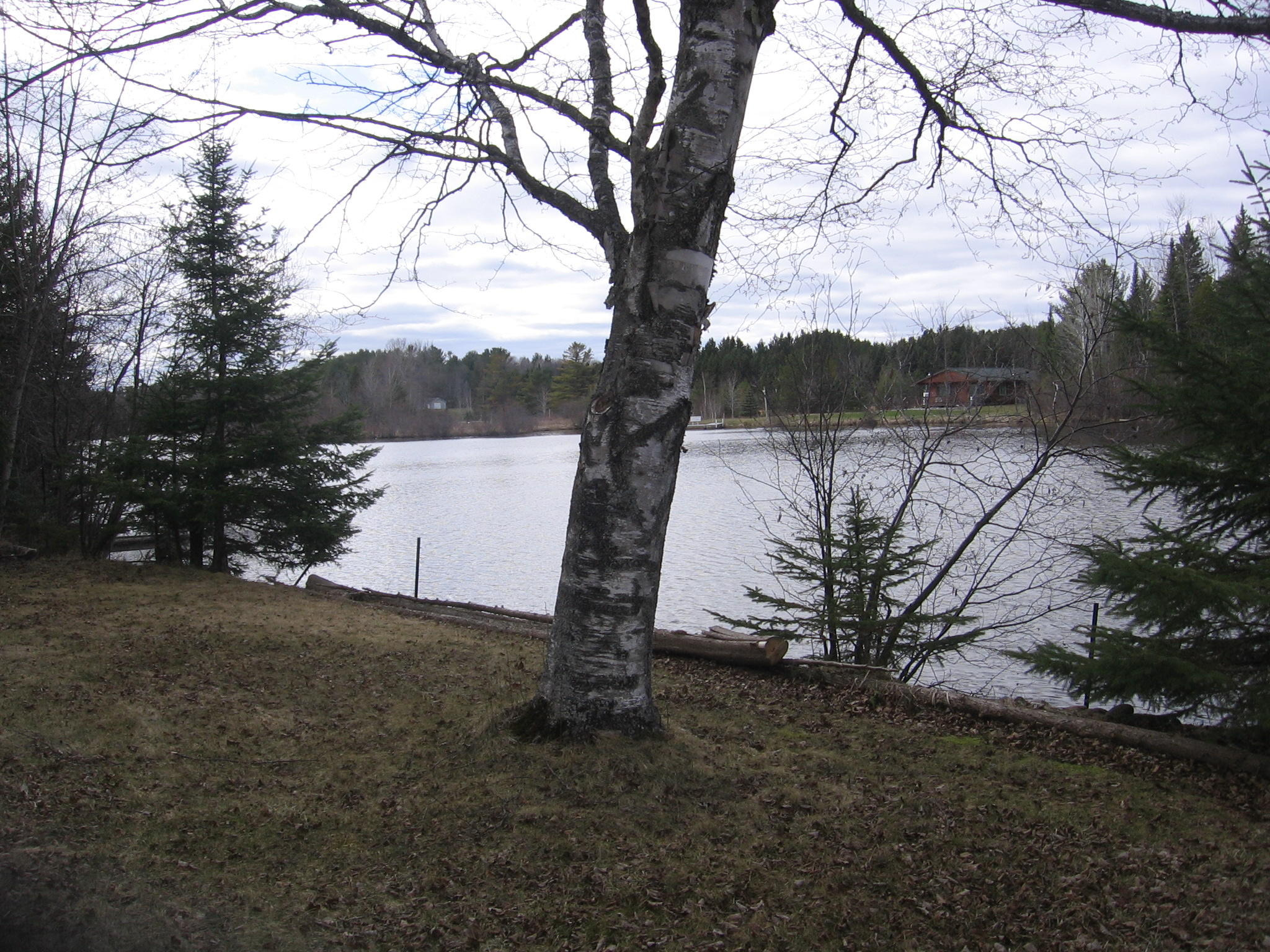 23540 Connon Road Hillman, MI 49746 - Photo 9 of 14 Gallery Image 9