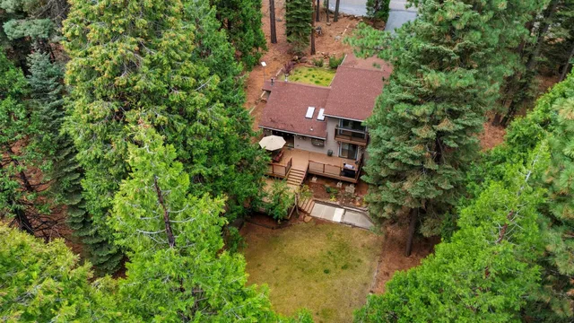 a view of a lush green field with a tree in the background