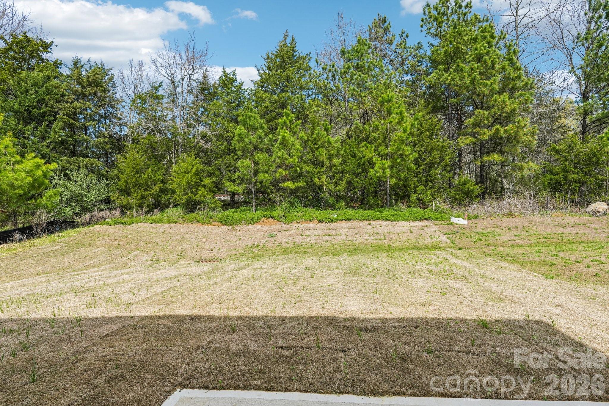 569 North Sparkleberry Street Chester, SC 29706 - Photo 39 of 40 a view of yard with large trees