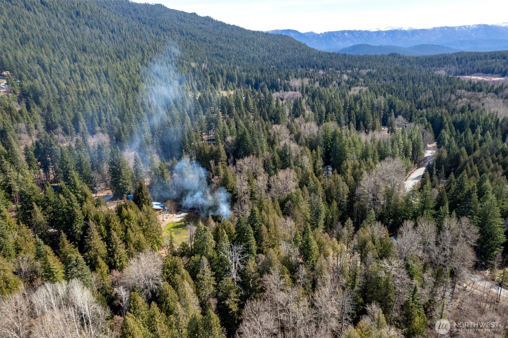 22740 Brown Road Leavenworth, WA 98826 - Photo 15 of 21 a view of a lush green forest with lush green forest