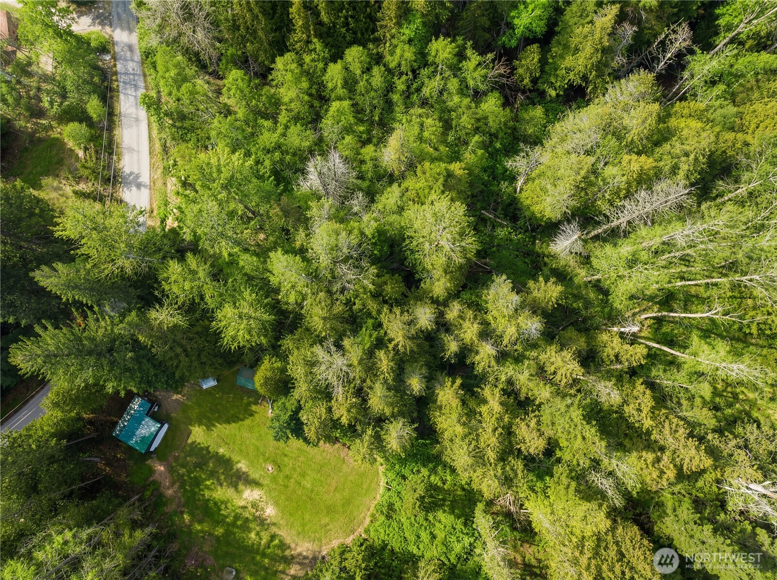 22740 Brown Road Leavenworth, WA 98826 - Photo 18 of 21 a view of a tree