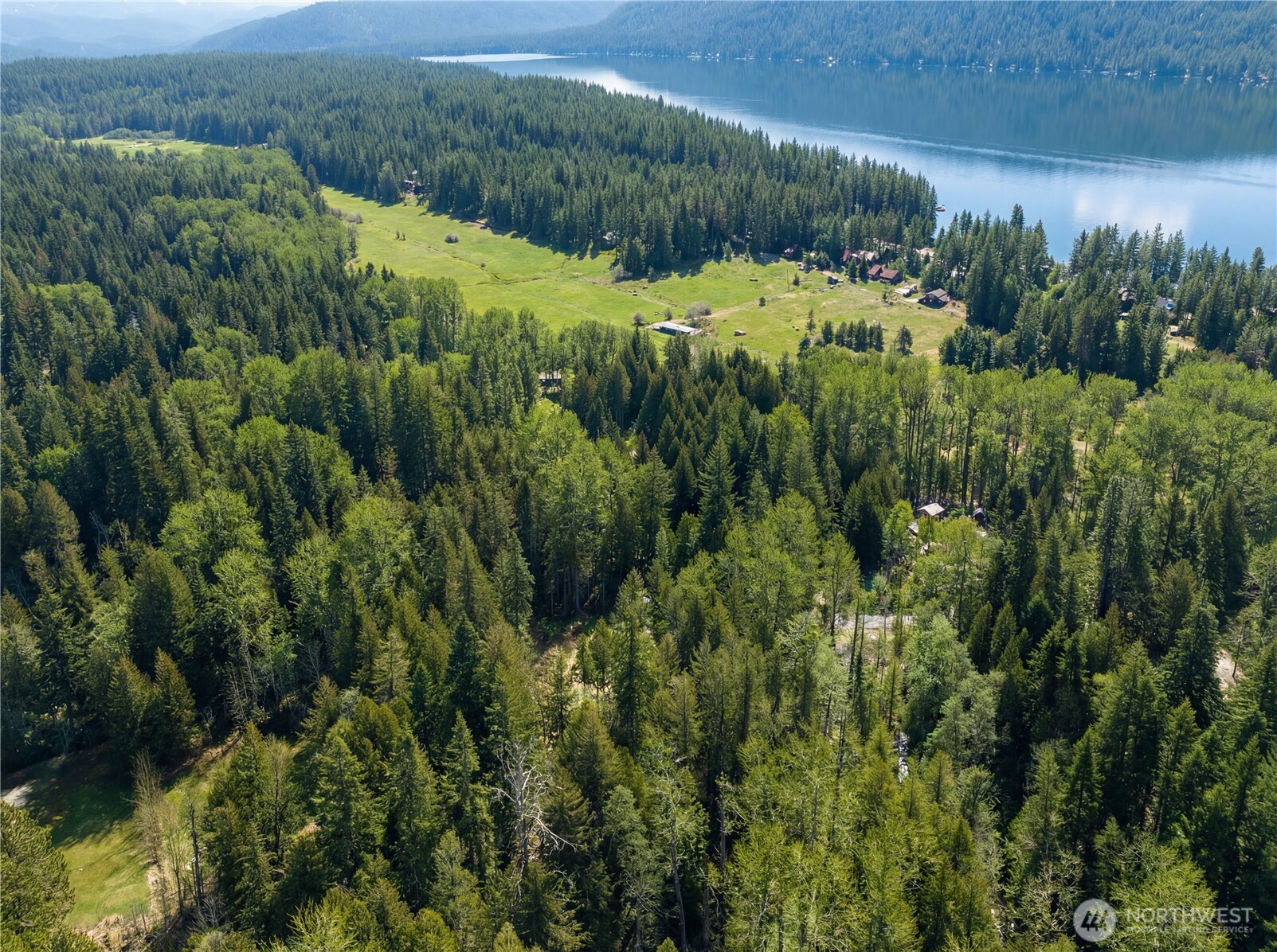 22740 Brown Road Leavenworth, WA 98826 - Photo 6 of 21 a view of a lush green forest with lots of trees