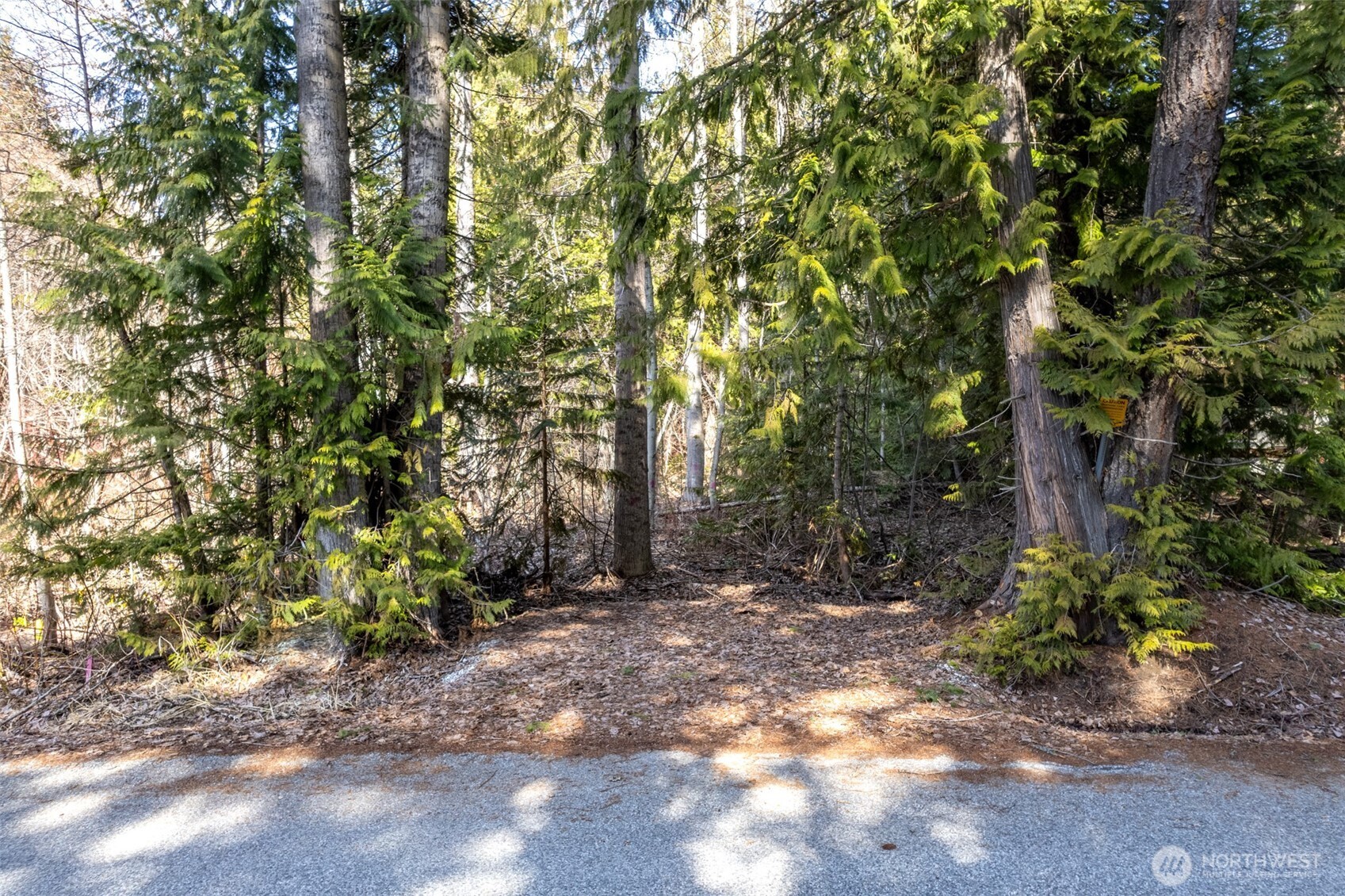 22740 Brown Road Leavenworth, WA 98826 - Photo 9 of 21 a backyard of a house with lots of green space