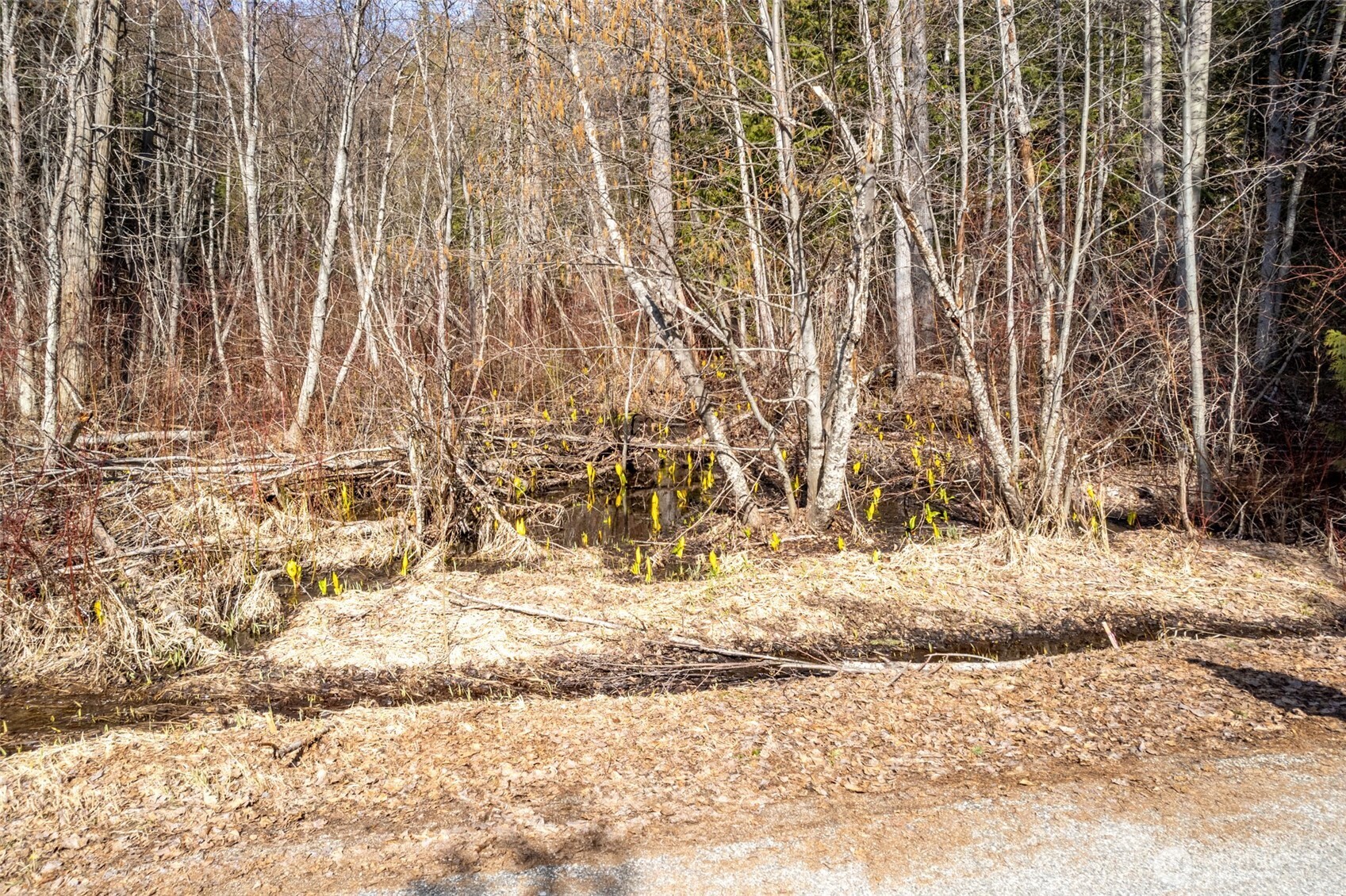22740 Brown Road Leavenworth, WA 98826 - Photo 10 of 21 a view of wooden fence and trees