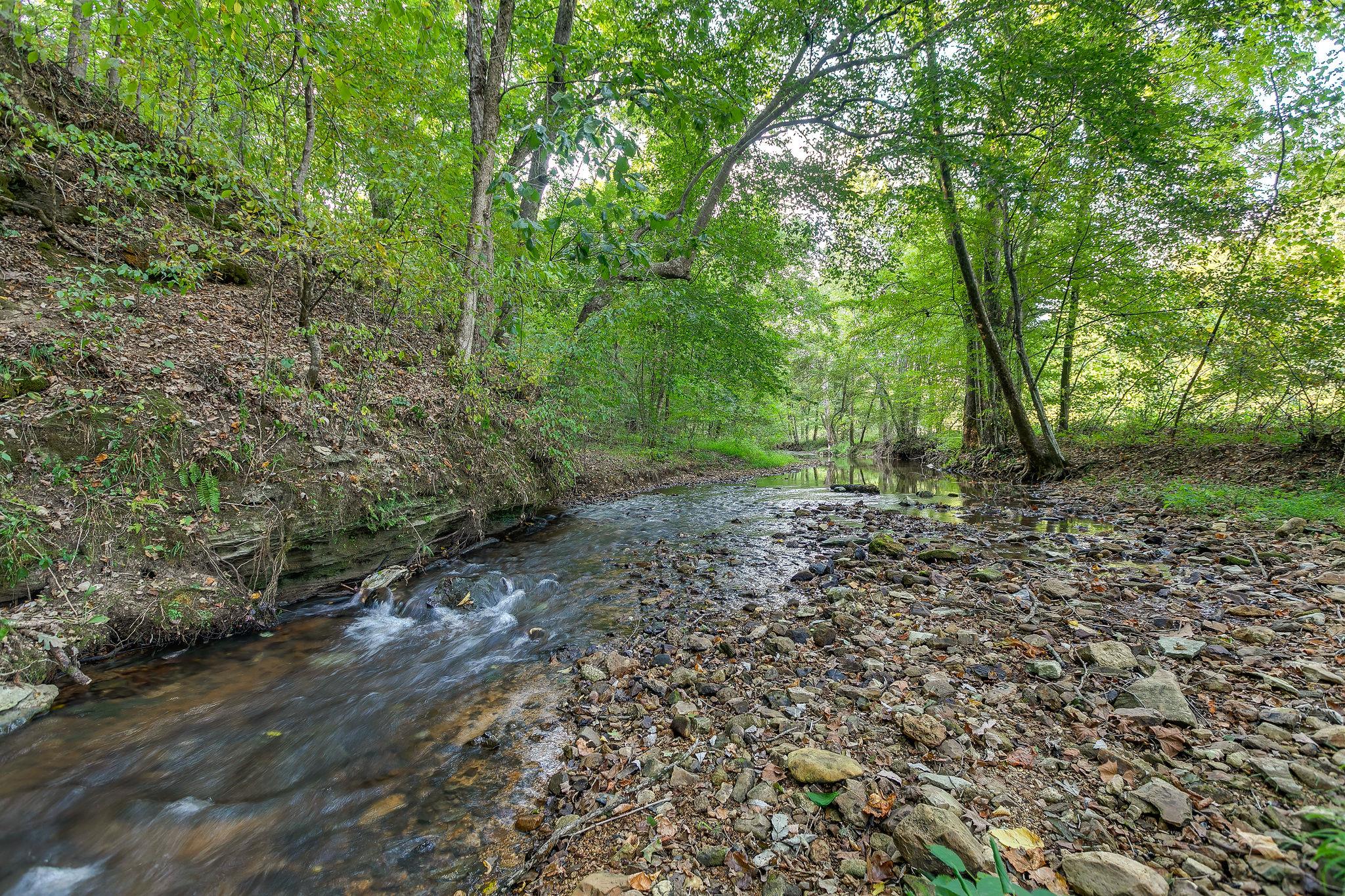 6572 Hassell Creek Road Lyles, TN 37098 - Photo 23 of 29 a big yard with lots of green space
