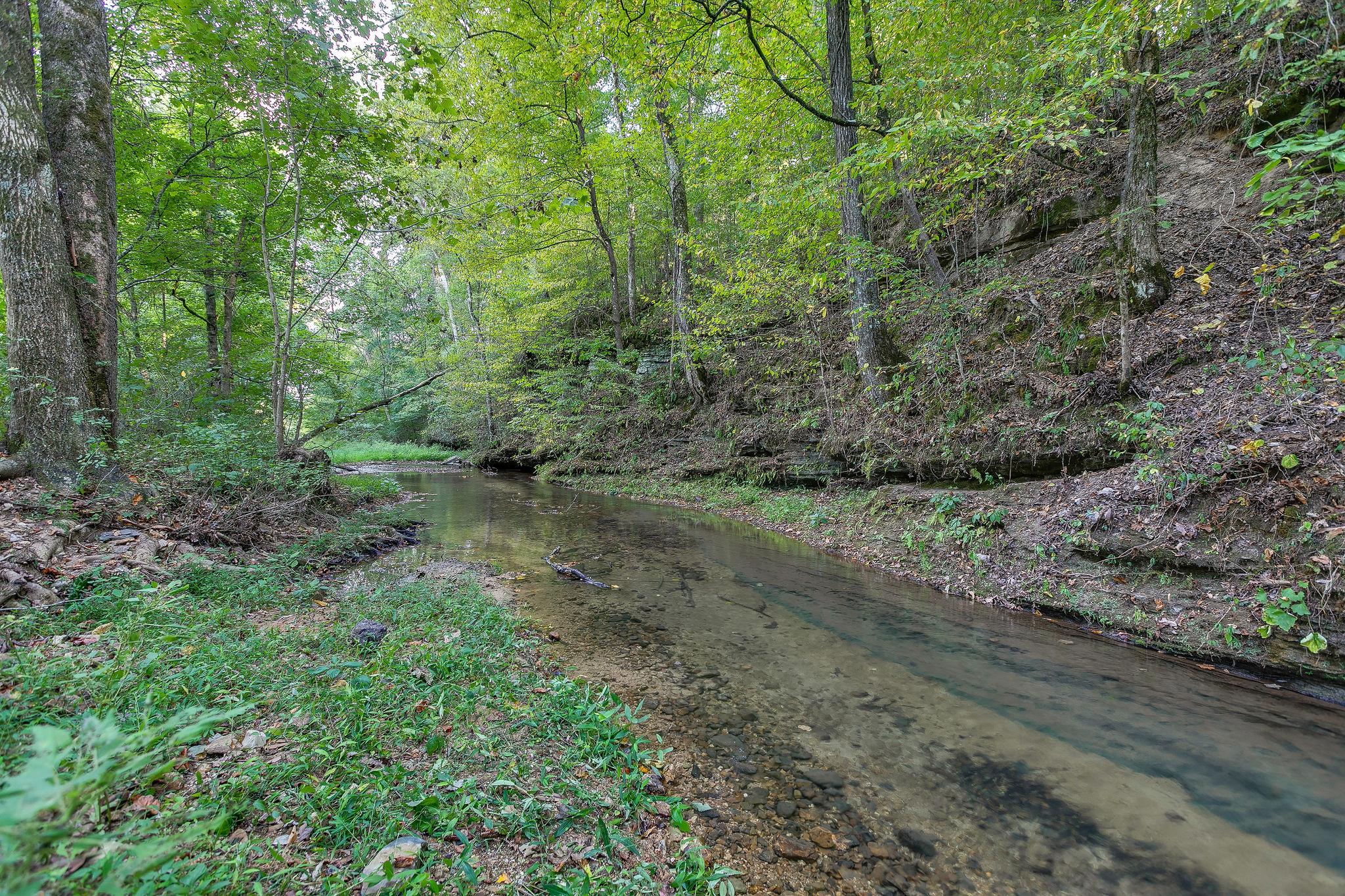 6572 Hassell Creek Road Lyles, TN 37098 - Photo 24 of 29 a view of a lush green forest with lots of trees