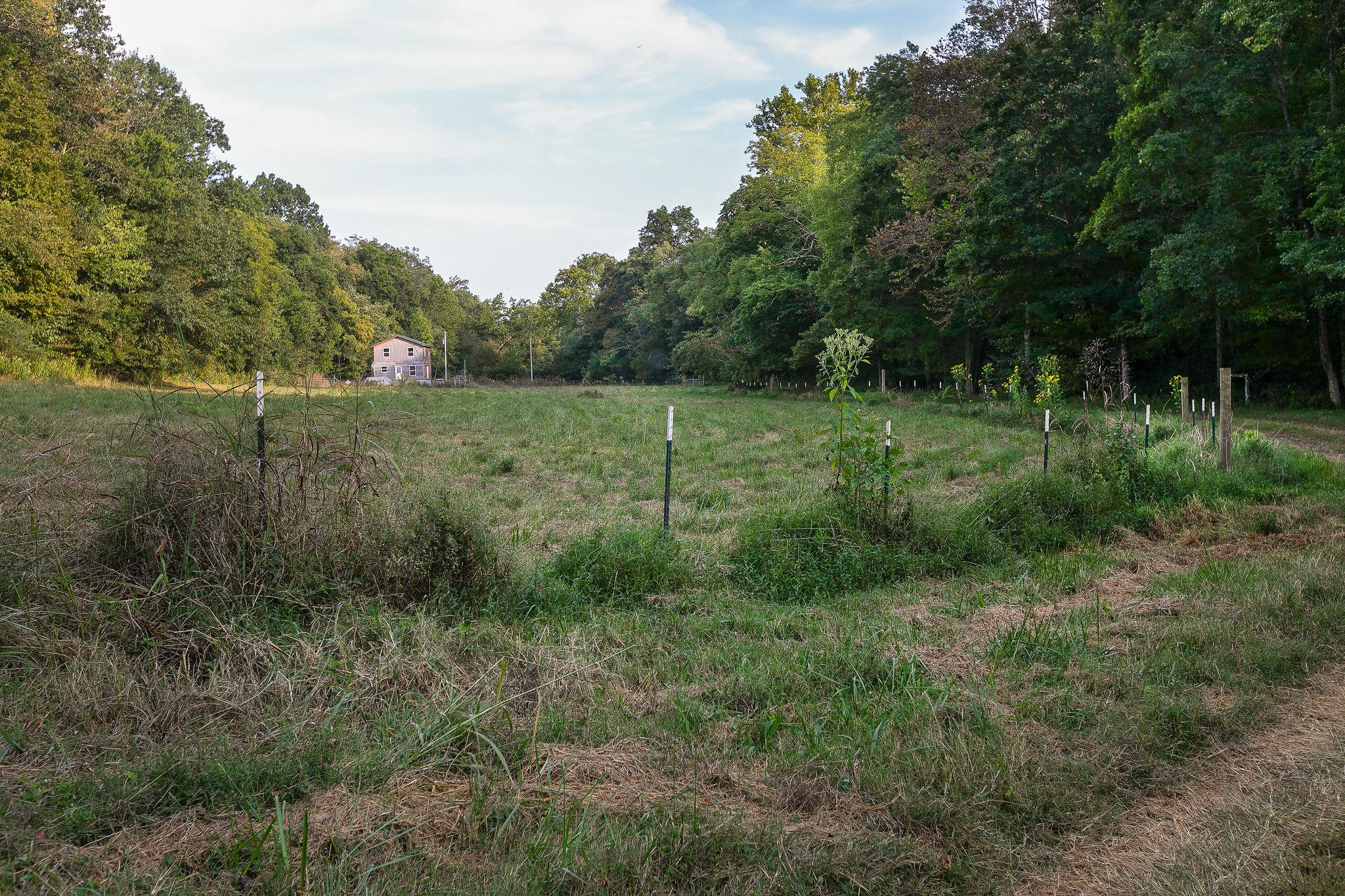 6572 Hassell Creek Road Lyles, TN 37098 - Photo 28 of 29 a view of outdoor space and green field