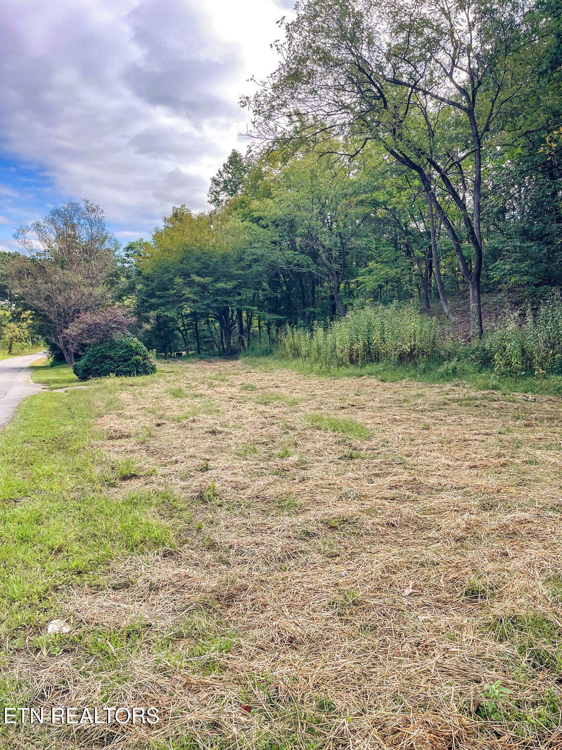 3142 Allegheny Loop Road Maryville, TN 37803 - Photo 37 of 37 39-web-or-mls-1000024218-Full-2