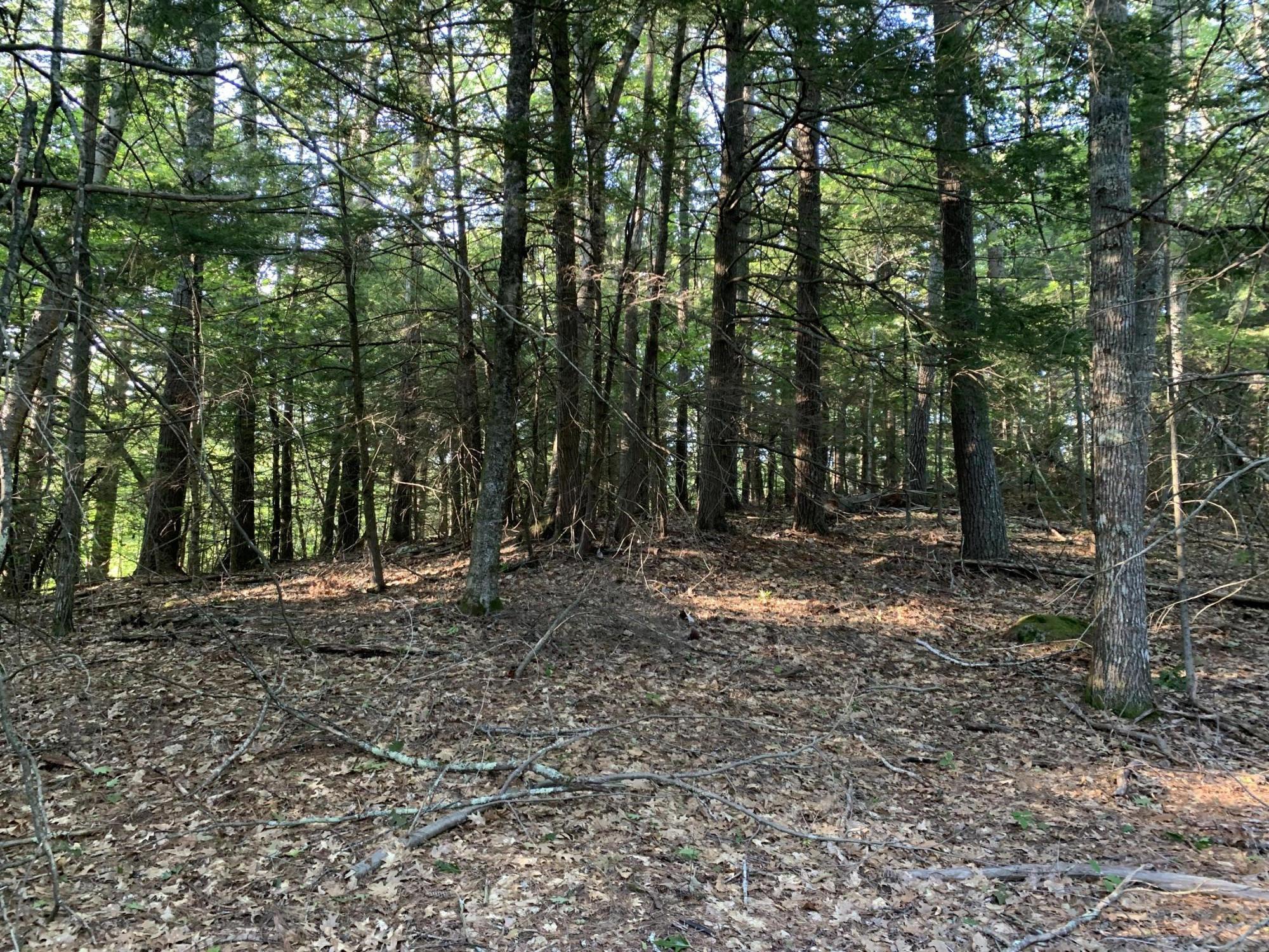 0 Dunbars Road Orland, ME 04472 - Photo 2 of 5 20200805_215619789_iOS