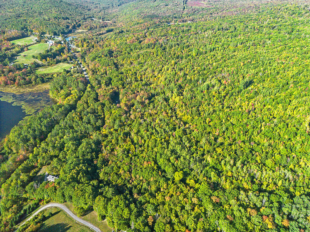 Lot 35 Town House Road Vienna, ME 04360 - Photo 11 of 19 13_DJI_0072_DxO_mls