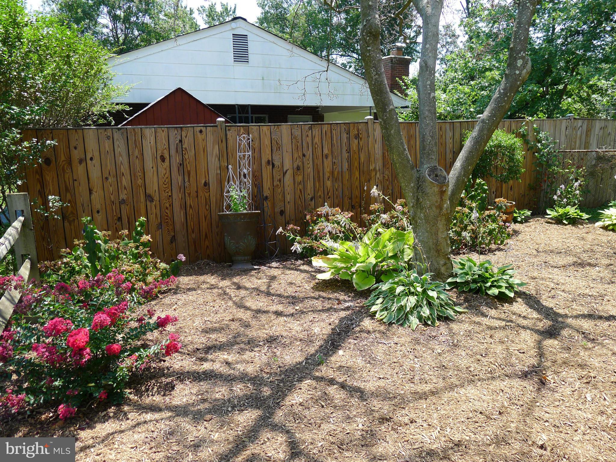 6302 Climbhill Road Alexandria, VA 22310 - Photo 24 of 30 Landscaped side yard
