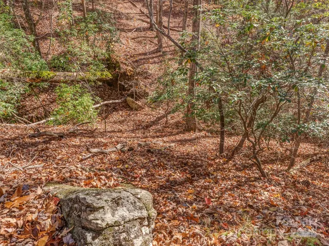 a backyard of a house with a trees
