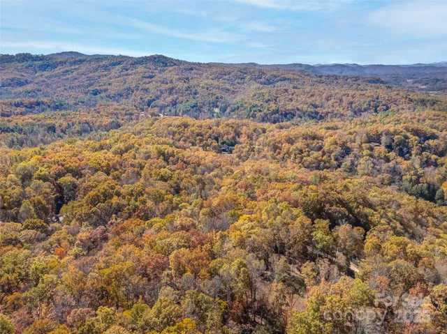 a view of a yard with trees