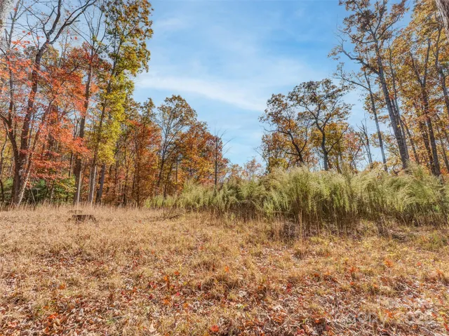 a view of river covered by trees and trees